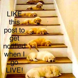 LIKE this post to get notified when I go live!!